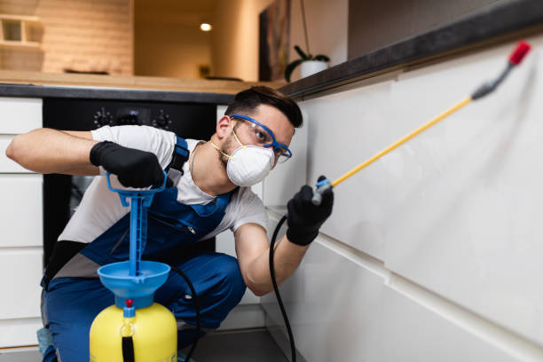Best Flea Control Services  in Greenville, NY