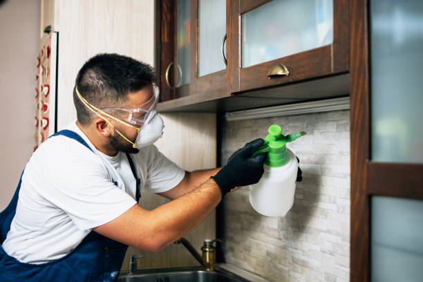 Best Flea Control Services  in Greenville, NY