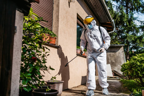 Flea Control Services in Greenville, NY