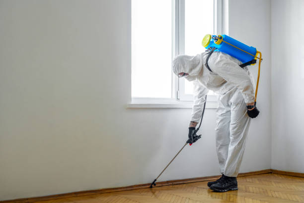 Best Pest Removal Services  in Greenville, NY