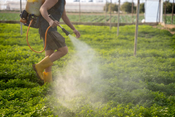 Best Ant Control Services  in Greenville, NY
