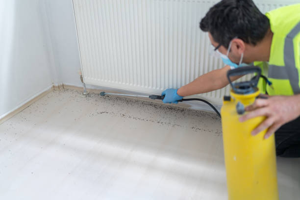 Best Commercial Pest Control Services  in Greenville, NY